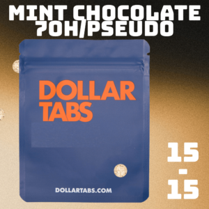 mint chocolate 1